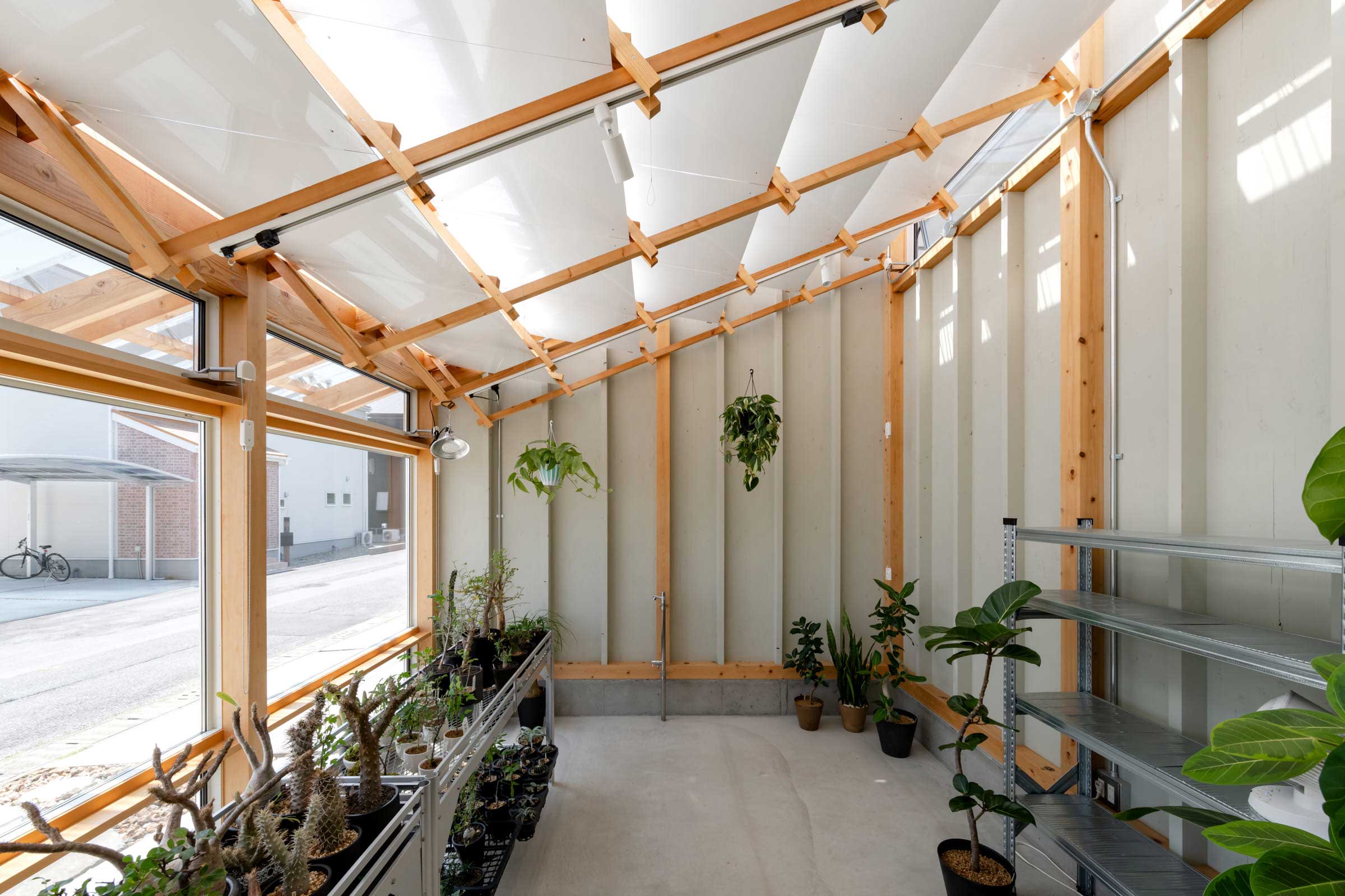 小林植物店+middle of the week