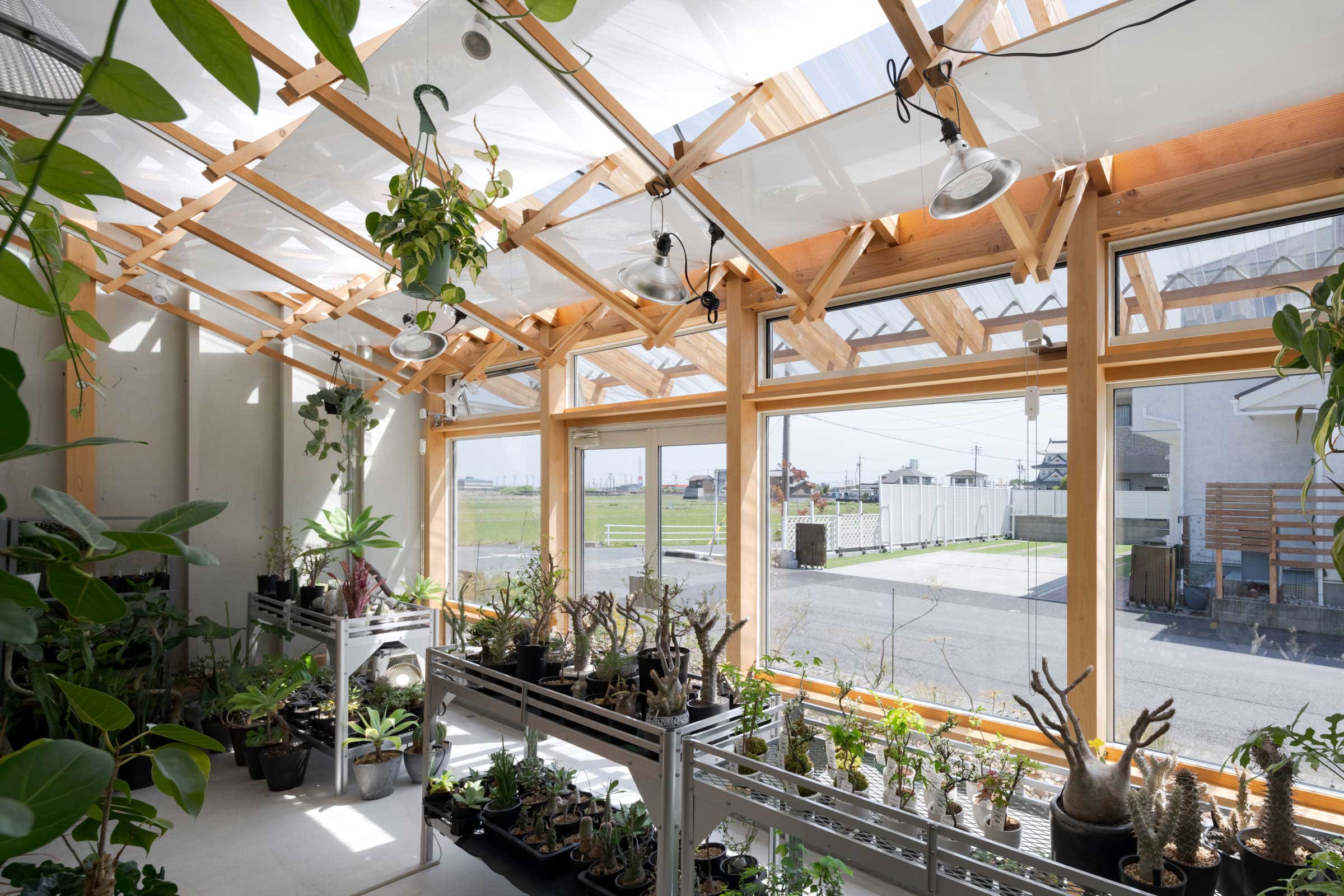 小林植物店+middle of the week