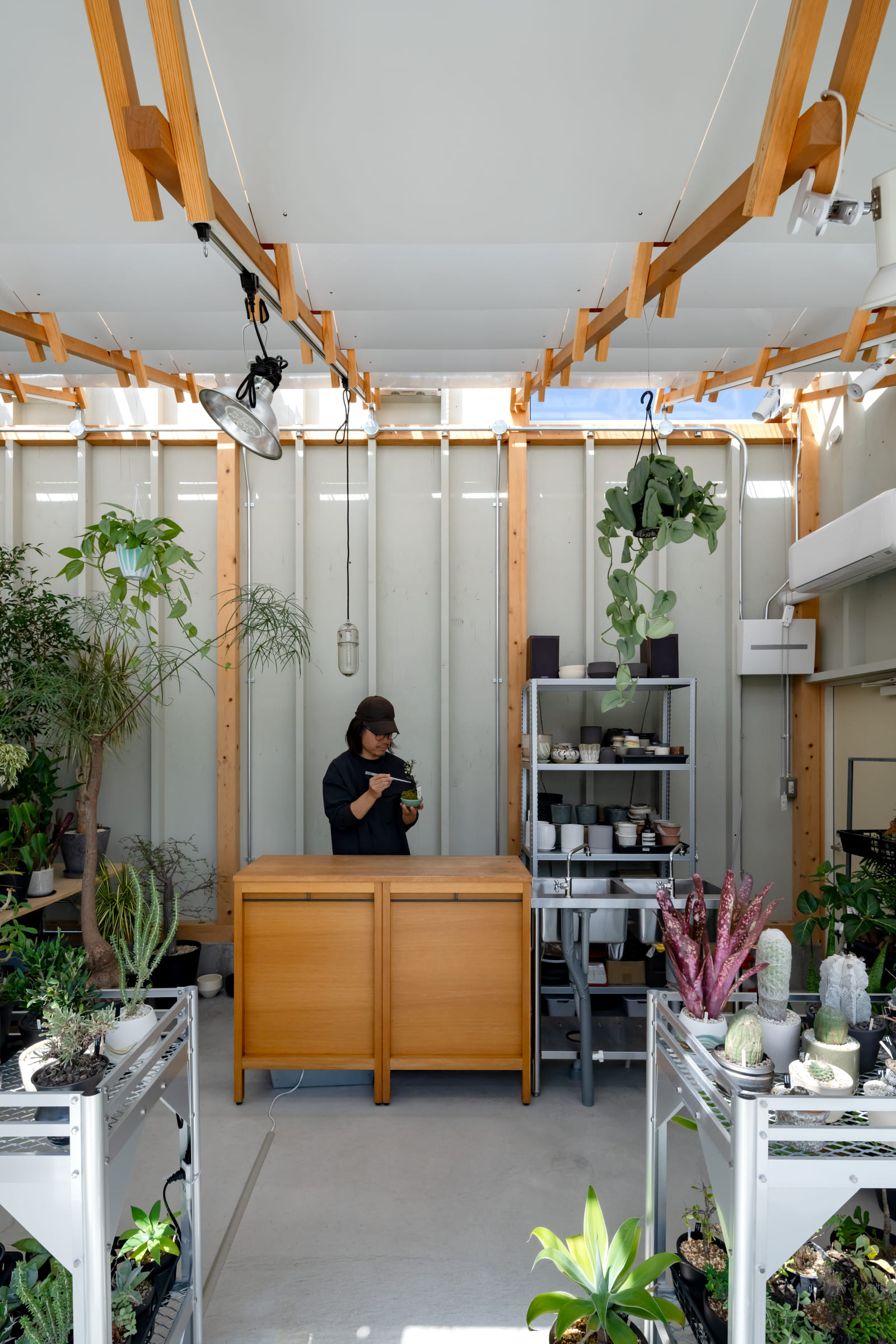 小林植物店+middle of the week