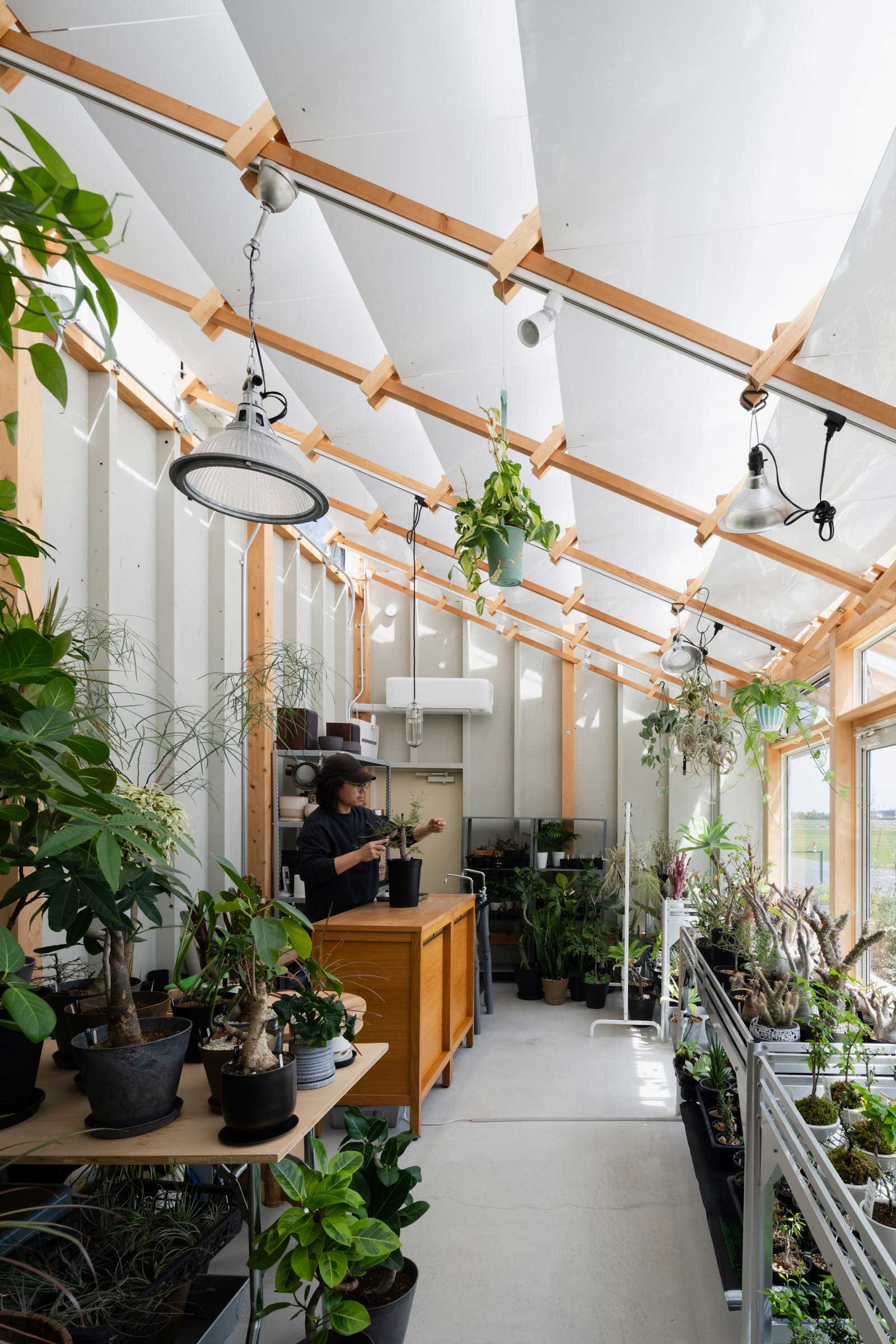 小林植物店+middle of the week