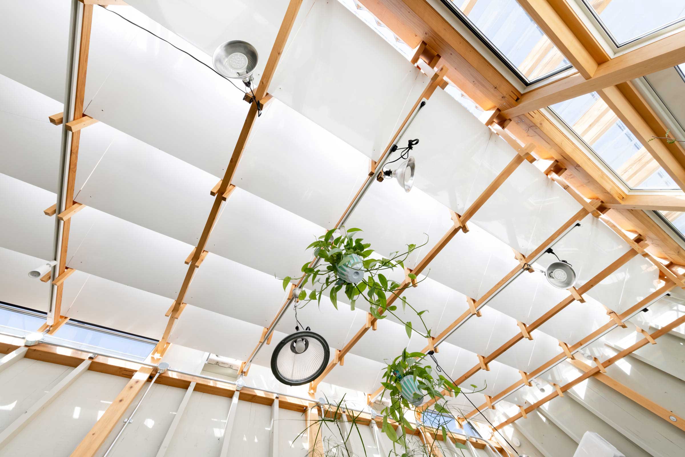 小林植物店+middle of the week